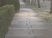 Footprints in the snow in front of the state capitol